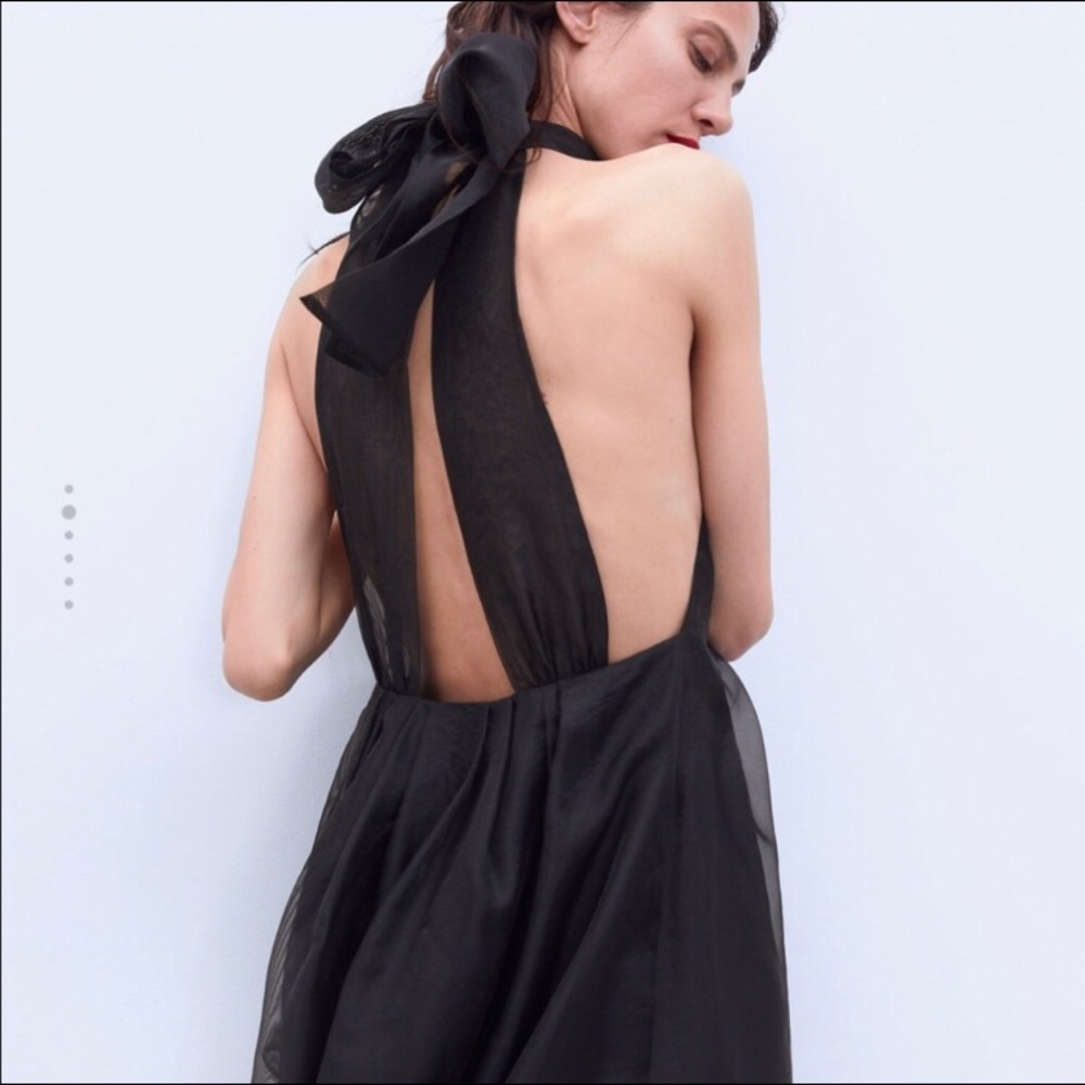 Zara Black Organza Dress - Picture 3 of 8